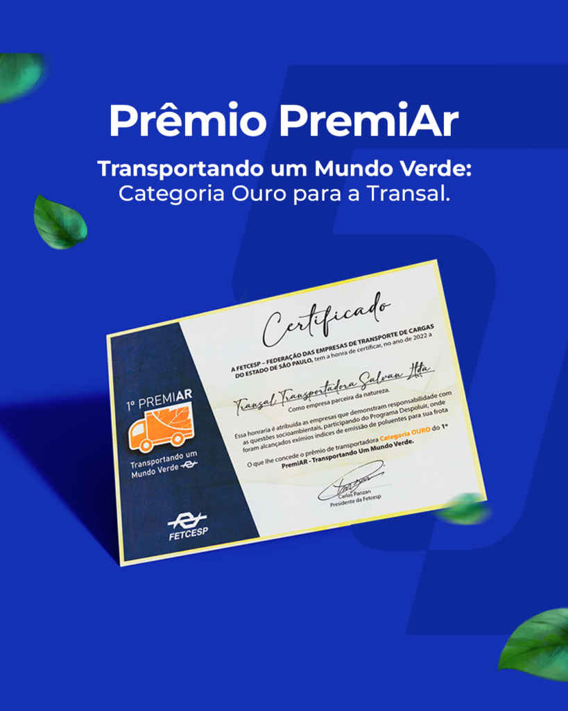 Blog Transal 01
